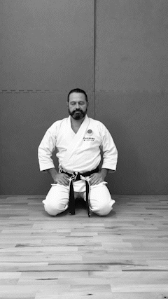 Franz macht Maegeri aus dem Sitzen