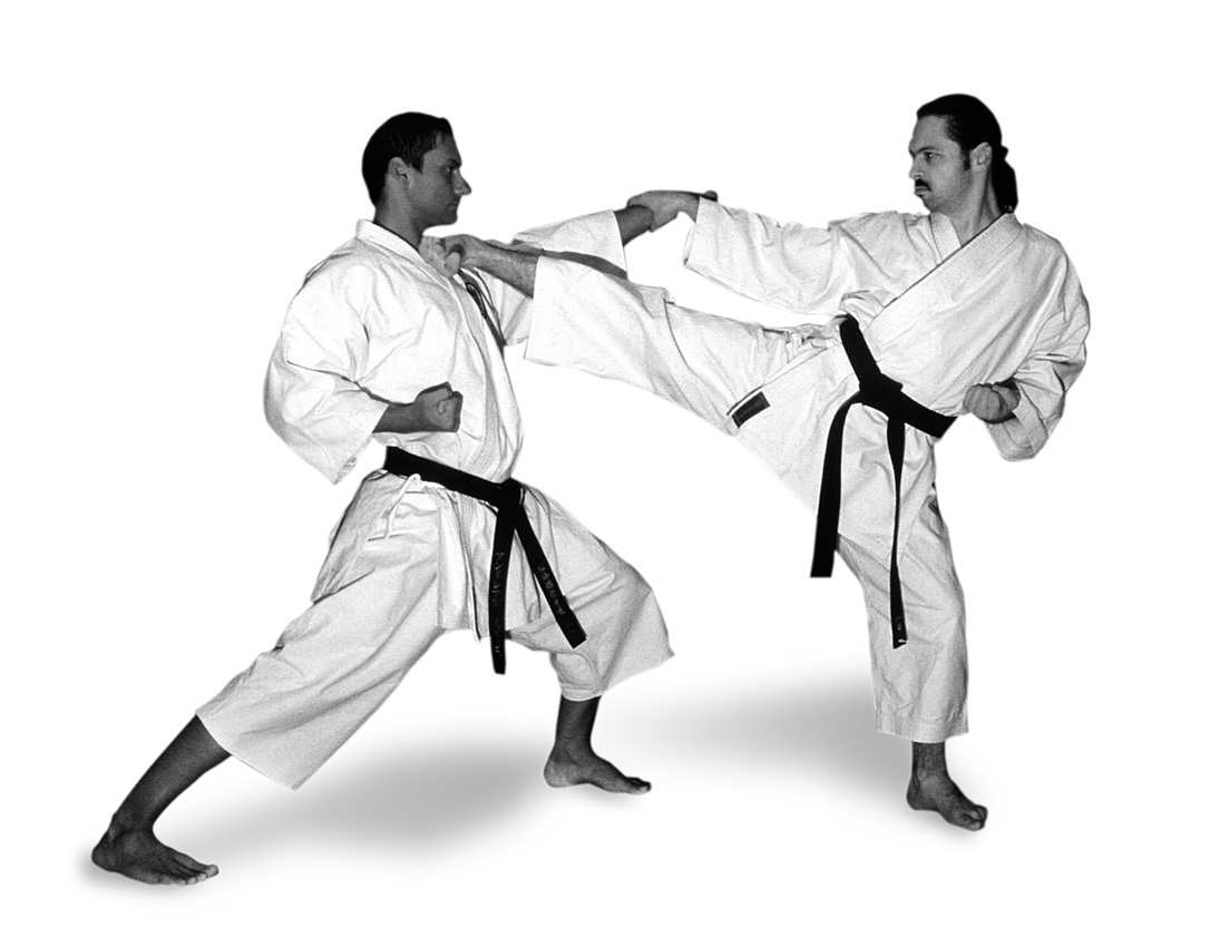 Andreas Jericha und Franz Peischl (2005) Zwei Personen in Karatestellung
