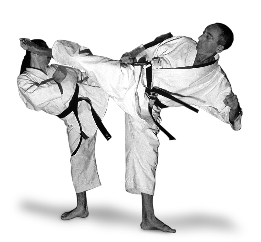 Zwei Personen in Karatestellung