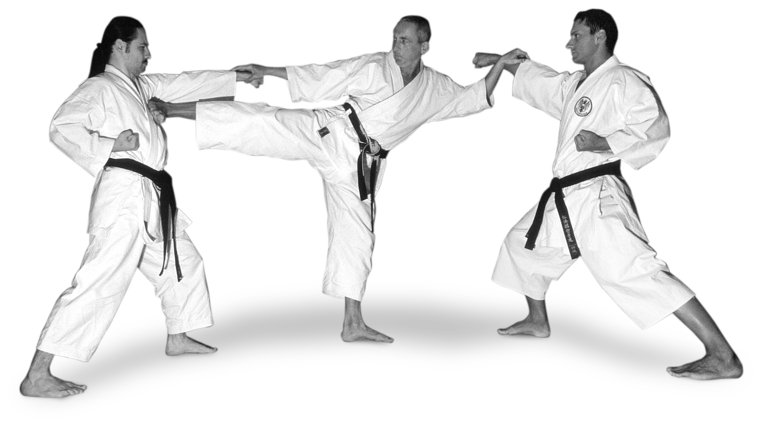 Michael Canoy, Andreas Jericha und Franz Peischl (2005) Drei Personen in Karatestellung