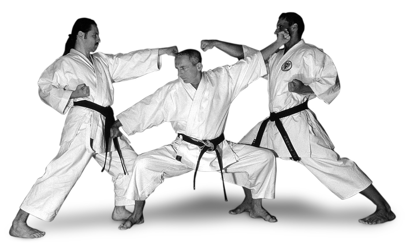 Michael Canoy, Andreas Jericha und Franz Peischl (2005) Drei Personen in Karatestellung