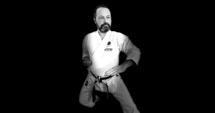 Nijushiho Kata 1. Technik